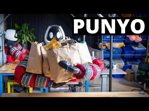 Punyo Review Video 3