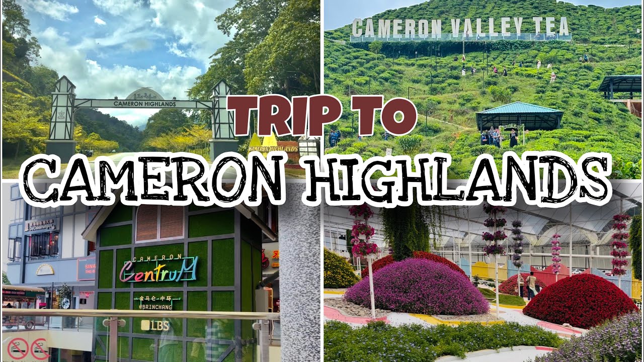 TRIP TO CAMERON HIGHLANDS | VLOG