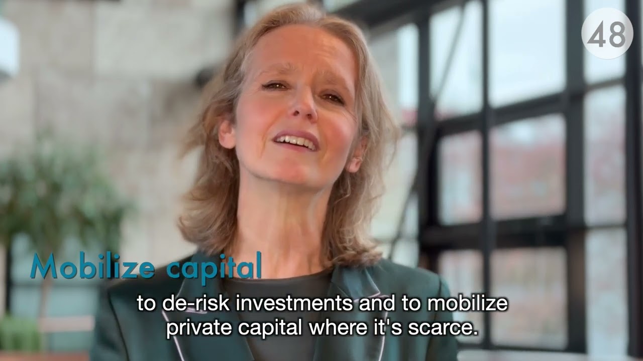 FMO-managed Funds in 90 Seconds