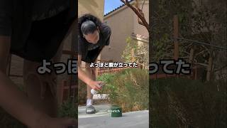 罰金にブチギレたアメリカ人の対応