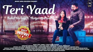 TERI YAAD | SUMIT NARANG | TANYA AGARWAL | PUNJABI SAD SONG | MIR