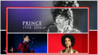 Prince - Erotic City (Vinyl) extended version by Grego 91