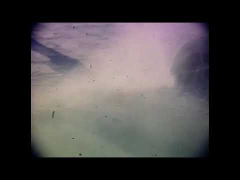 Ice House Pond Ice Cutting 1950 Acton MA