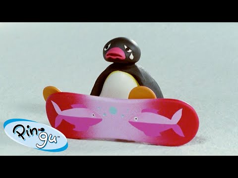 Pingu's Hobbies 🐧 | Pingu - Official Channel | Cartoons For Kids