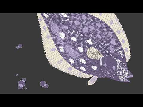 Milena Glowacka - Dystopia