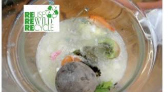 Art & Gene Action | Adam Zaretsky | Humanity+ Parsons Summit 2011