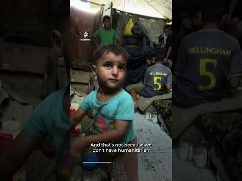 Gaza faces worsening hunger as WFP announces food aid cuts