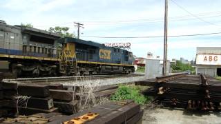preview picture of video '3-Engine Intermodal Train Past Bush'