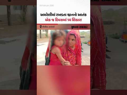 Amreliના મોટા લીલીયામાં રખડતા શ્વાનોનો આતંક, એક જ દિવસમાં 14 શિકાર!