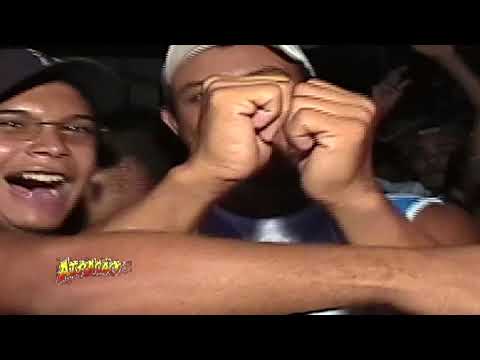 Atracao pitbull DVD P1