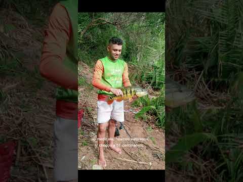 Tucunaré Grande no Açude Das Frecheiras Em Meruoca Ceará 😍#pesca #tucunare #ceará #pescaria