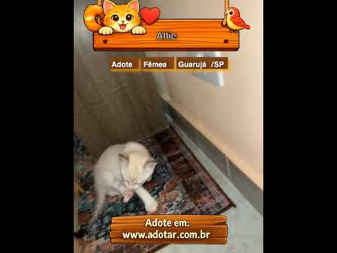 Vídeo de Allie