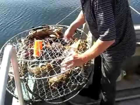 crabbing