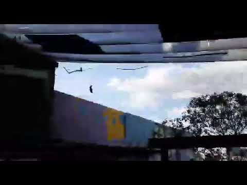 Manila ocean park🖤