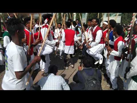 Goobee sirba birraa Qeerroowwanii