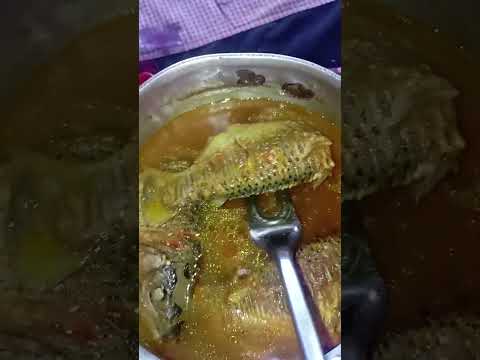 vamos almoçar peixe cozido 😋 Caracaraí Roraima #vidacomalegria