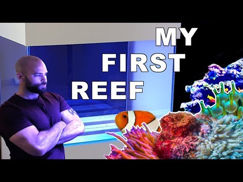 My First REEF Tank || Nano Aquarium Ep1: DIY Stand Hood Tank & Lighting (How To)