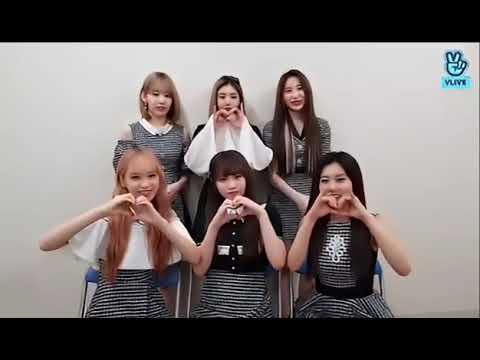 [IZ*ONE V LIVE] 190519 IZ ONE NEWS🌍 [화질 개선]