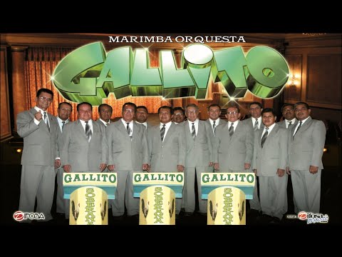 La Soberana Gallito  - Historia Musical