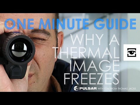 Pulsar one minute guide: Why does my thermal image freeze?