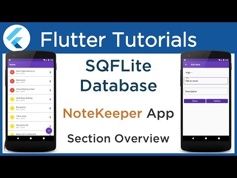 Flutter SQFLite Database Tutorial Implement SQLite database with example Section Overview 4 1