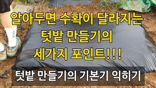 알아두면 수확이 달라지는 텃밭 만들기의 세가지 포인트! - 텃밭 만들기의 기본기 익히기