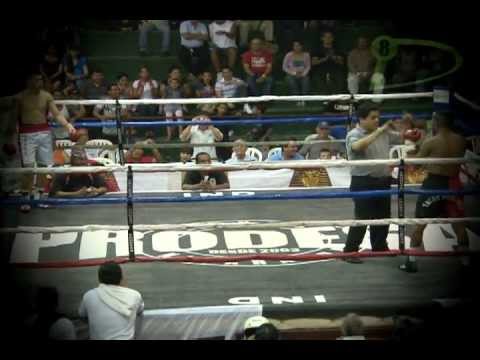 EL PIOLIN EN PERSONA