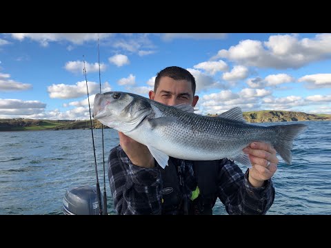 Lure fishing Bass and Pollack - Sea Fishing UK | The Fish Locker