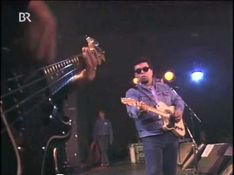 Los Lobos - One Time, One Night