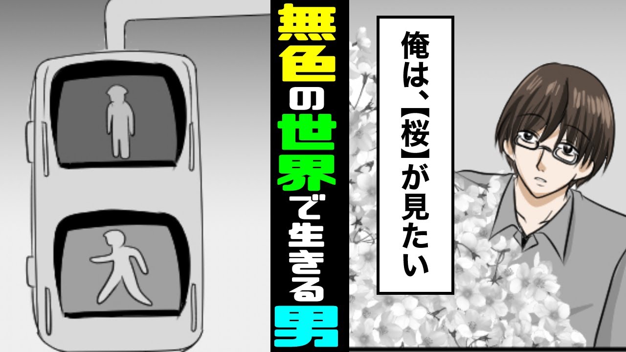 【漫画】もしも、色が認識できなかったらどうなるのか？【マンガ動画】