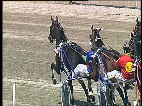 Trotto 29/04/2016 - 2° Corsa