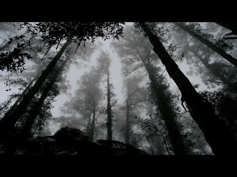 Noel Sanger - Breathe Here And Now (Ritual Object Mix)