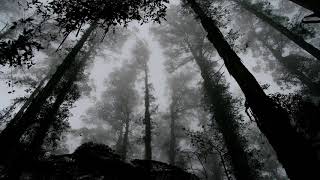 Noel Sanger - Breathe Here And Now (Ritual Object Mix)