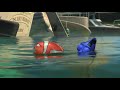 Finding Nemo Seagulls Mine Mine Mine