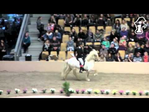 WorldTölt 2013 - T2-Finale - isibless