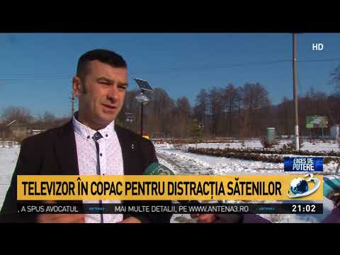 Într-o comună din Argeş, primarul a instalat un televizor în copac pentru distracția sătenilor