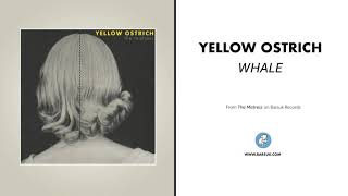 Yellow Ostrich - &quot;WHALE&quot; (Official Audio)