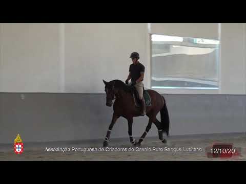 2 Jeropiga por Sebastião Campaniço - Criador João Pedro Rodrigues