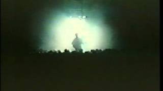 Echo &amp; The Bunnymen   Over The Wall +