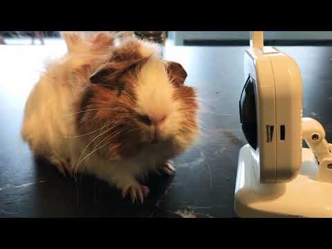 Monday i have nothing to do 🤩Jerry💙