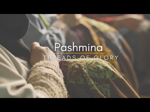 Pashmina - Threads of Glory✨