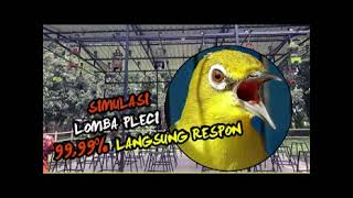 Download lagu SIMULASI LOMBA PLECI TERAPI AMPUH MELATIH MENTAL mp3