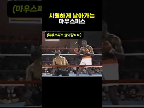 연타로 상대를 압도하는 법 #복싱 #마이크타이슨