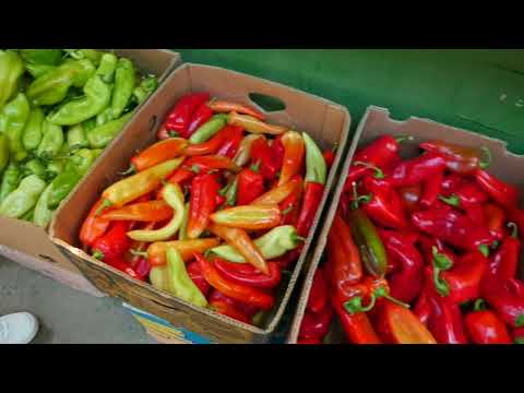 Na pijaci neki proizvodi jeftiniji neki poskupeli 18 08 2022