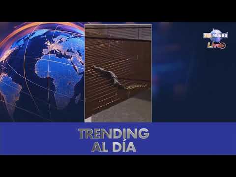 NotiMundo a la Carta