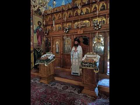 20200628 NICOLAE BALASOIU   DUMINICA A 3 A DUPA RUSALII – DESPRE GRIJILE VIETII