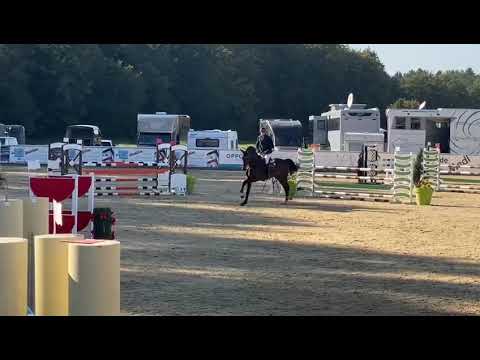 Cortes, CSI Ranshofen, 115 cm, 09.10.2021