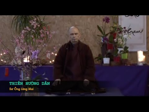 Sư Ông Làng Mai Hướng Dẫn Ngồi Thiền