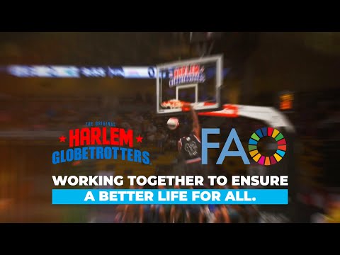 The Harlem Globetrotters and FAO working together to ensure a better life for all