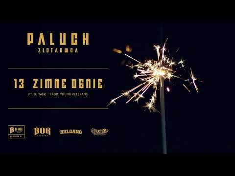Paluch "Zimne ognie" ft. Dj. Taek prod. Young Veteran$